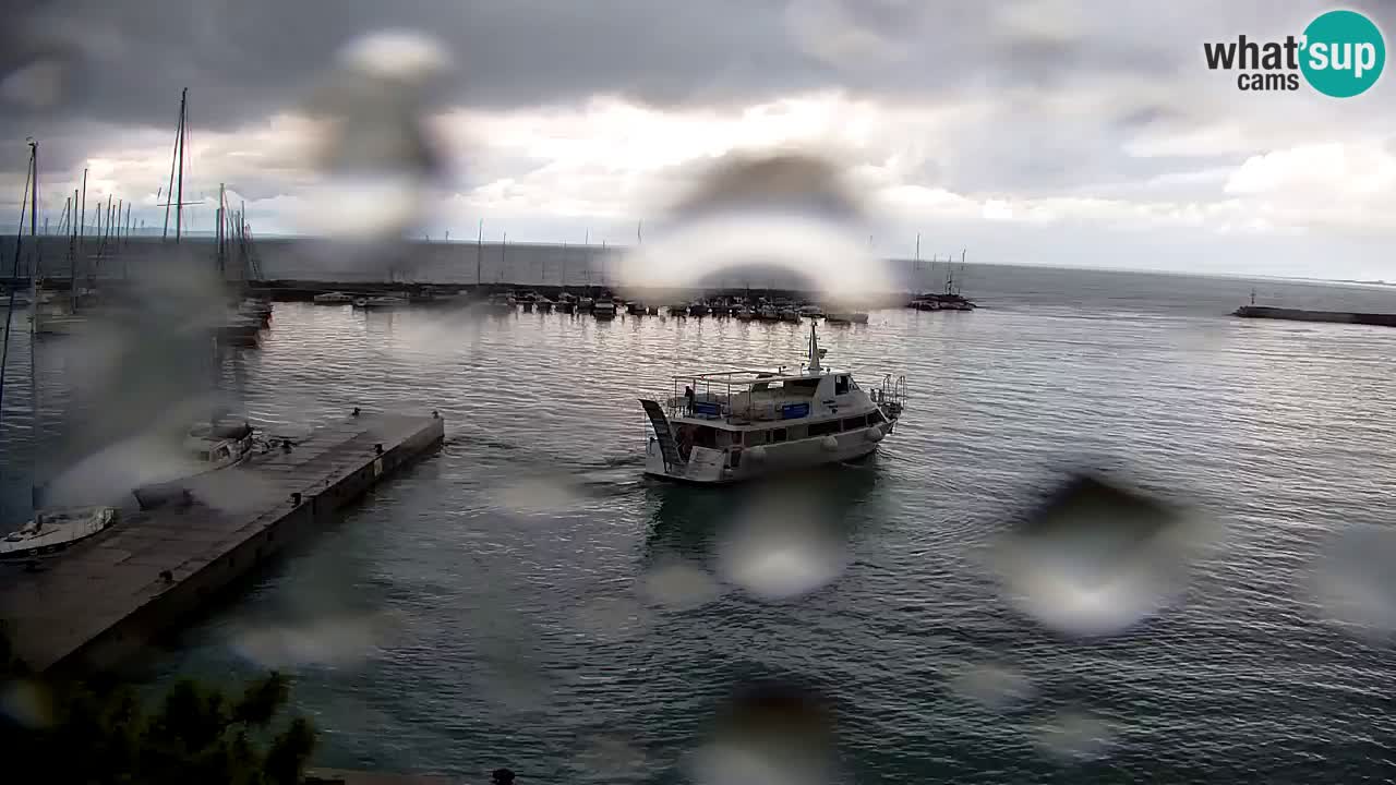 Webcam Sistiana Bucht – Liveblick auf Marina und Bucht