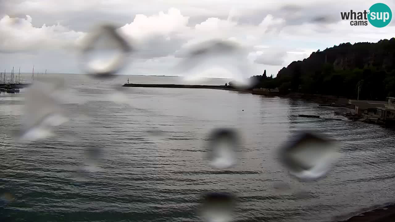 Webcam Sistiana Baia – Live View of the Marina and Gulf