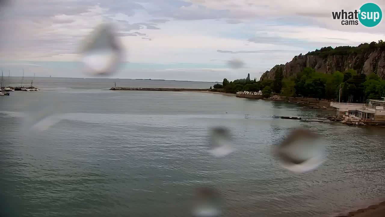 Webcam Sistiana Baia – Live View of the Marina and Gulf