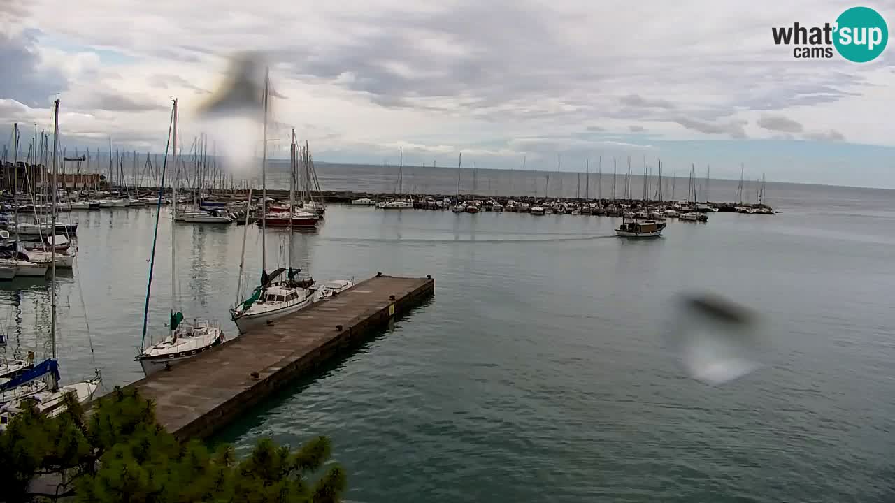Webcam Sistiana Baia – Live View of the Marina and Gulf