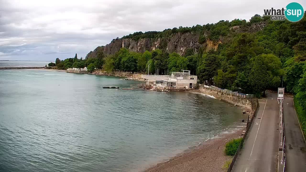 Web kamera Sistiana Uvala – Pogled uživo na marinu i zaljev
