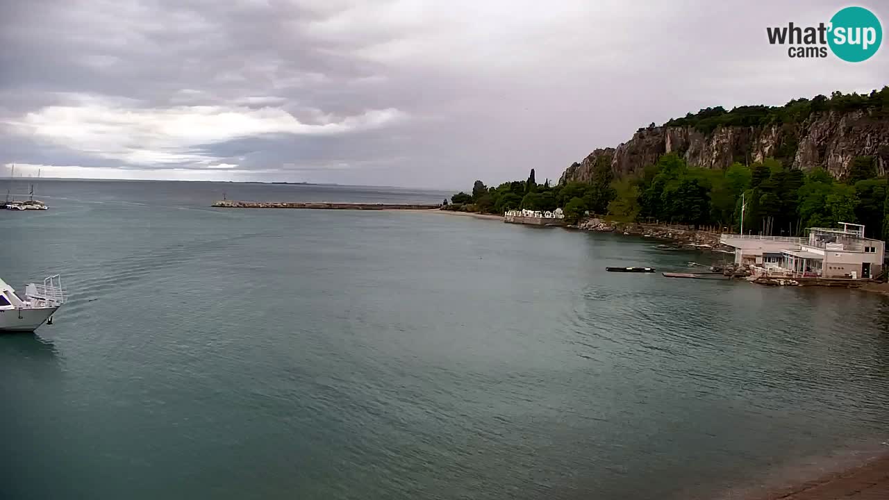 Webcam Sistiana Baia – Live View of the Marina and Gulf