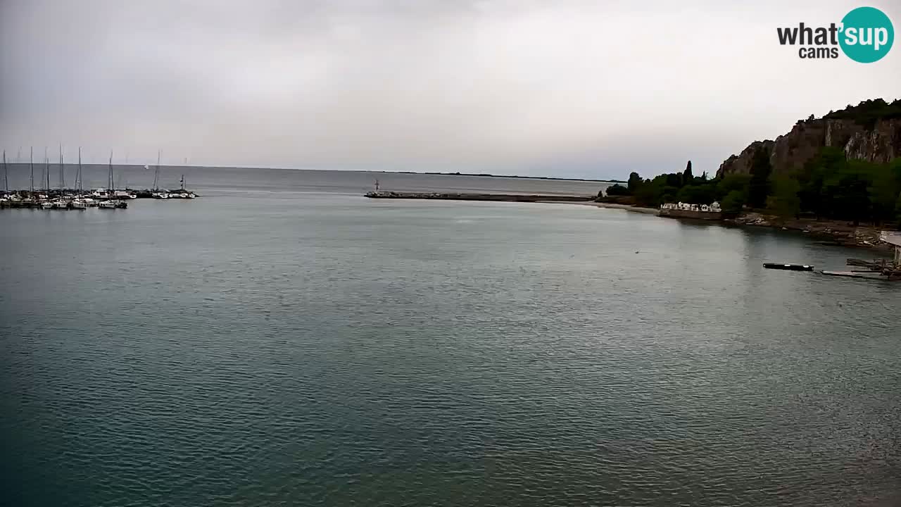 Web kamera Sistiana Uvala – Pogled uživo na marinu i zaljev