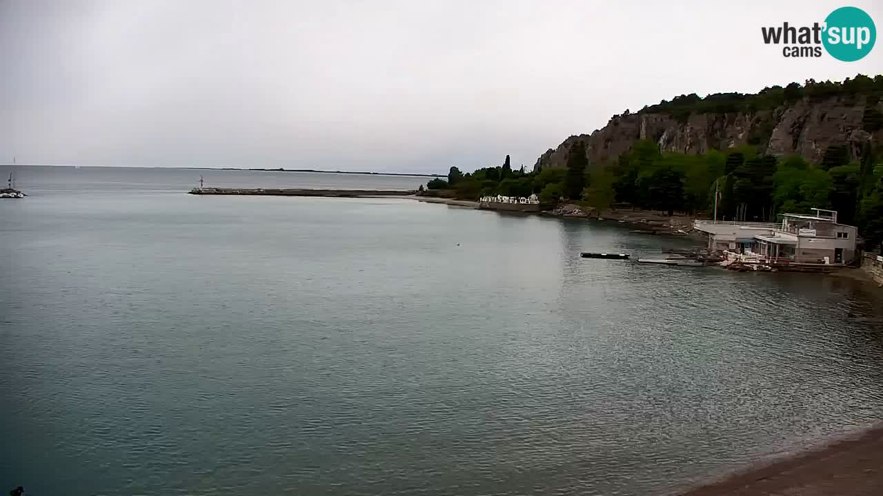 Webcam Sistiana Bucht – Liveblick auf Marina und Bucht