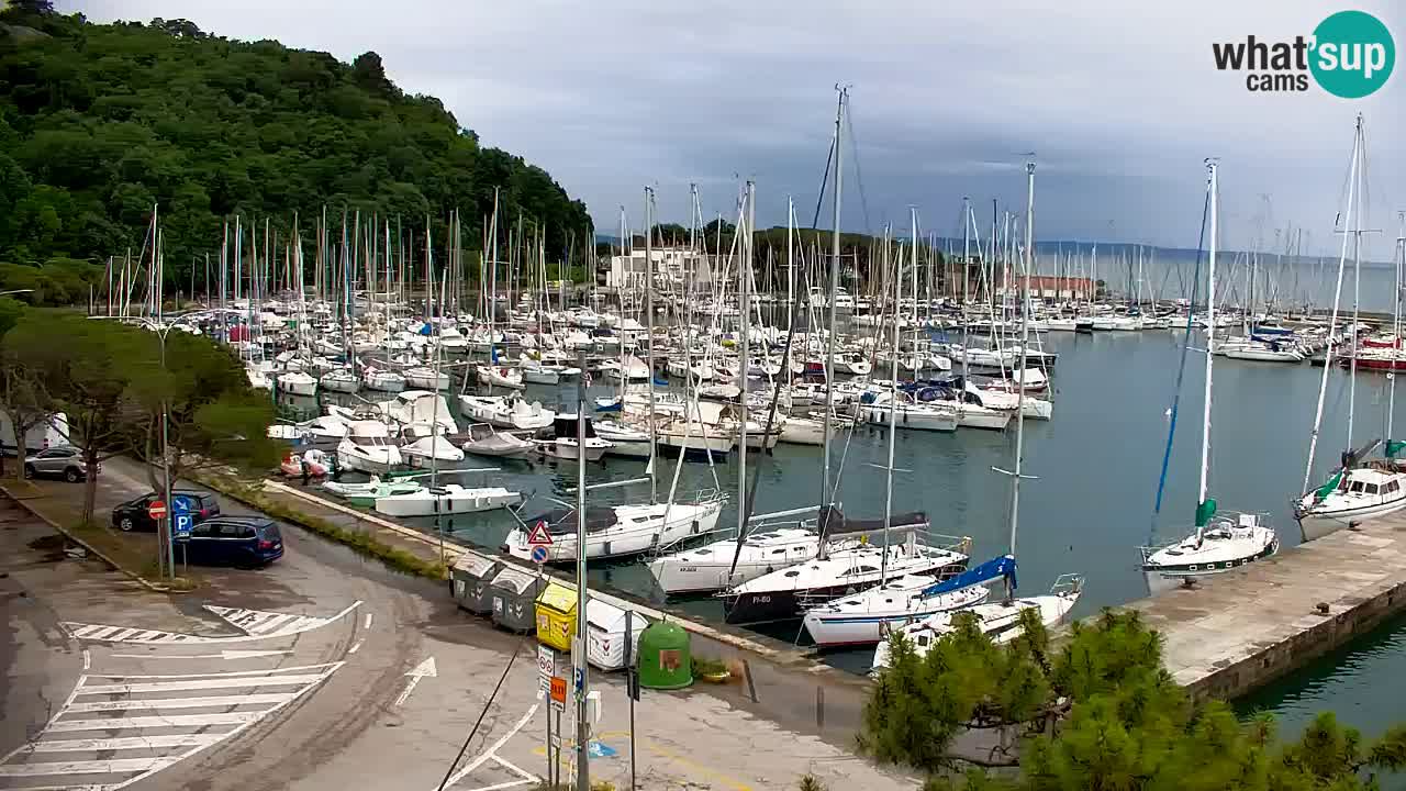 Webcam Bahía de Sistiana – Vista en directo del puerto deportivo y la costa