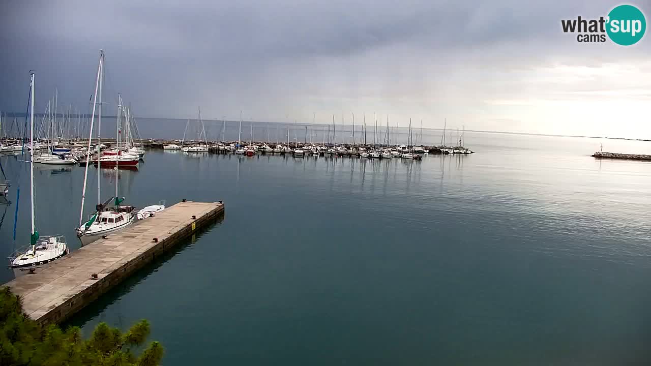 Webcam Sistiana Baia – Live View of the Marina and Gulf