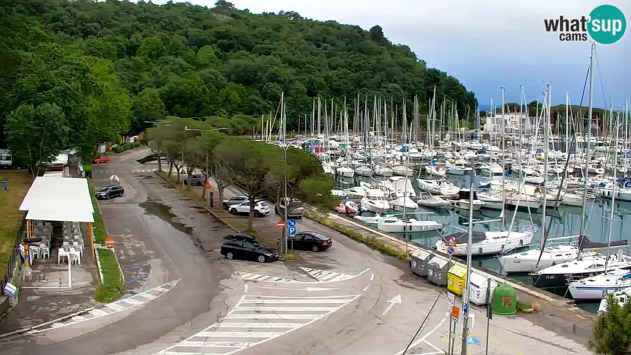 Webcam Sistiana Baia – Live View of the Marina and Gulf