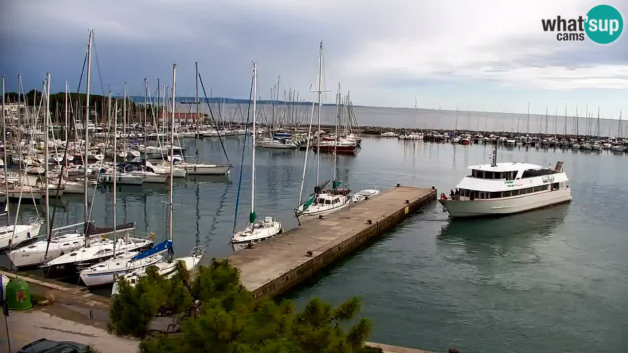 Webcam Sistiana Baia – Live View of the Marina and Gulf