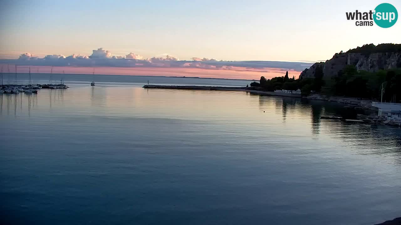 Webcam Sistiana Baia – Live View of the Marina and Gulf