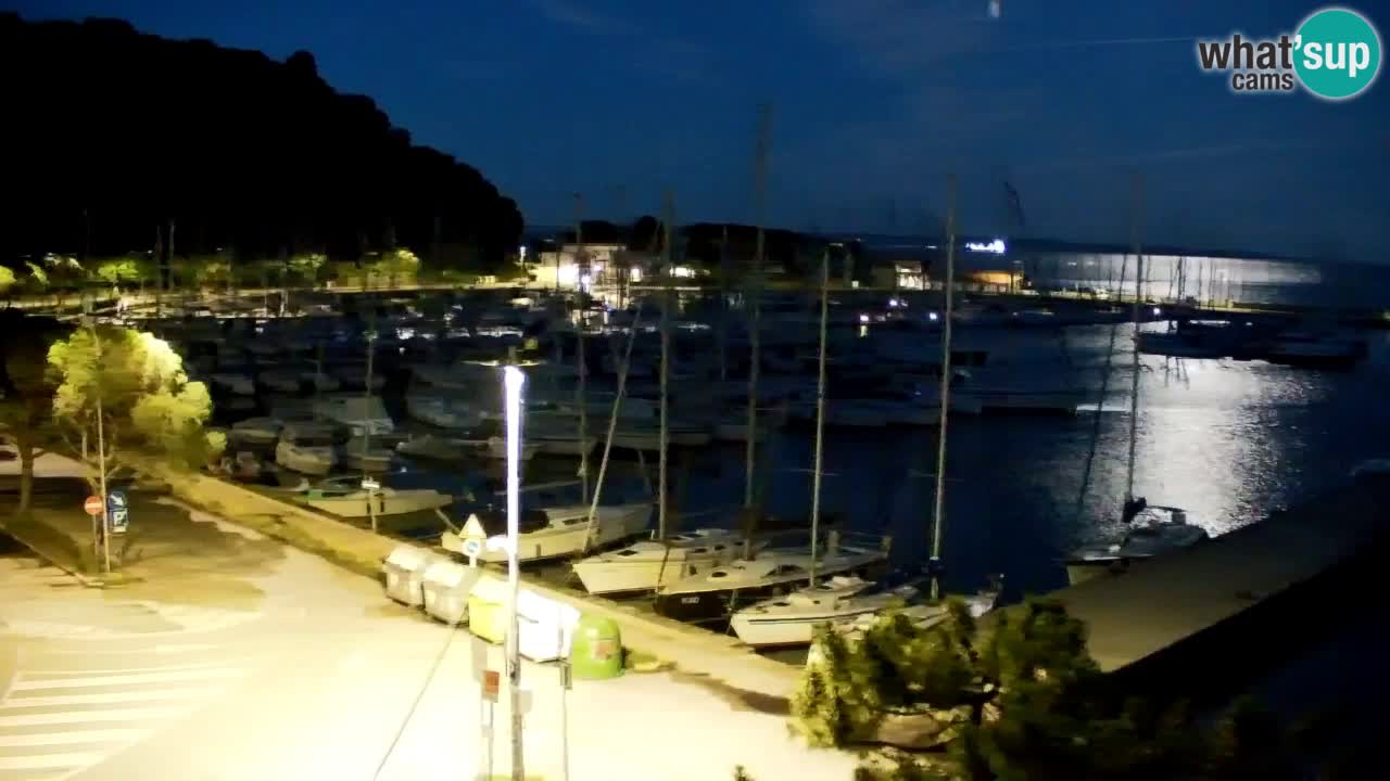 Webcam Bahía de Sistiana – Vista en directo del puerto deportivo y la costa