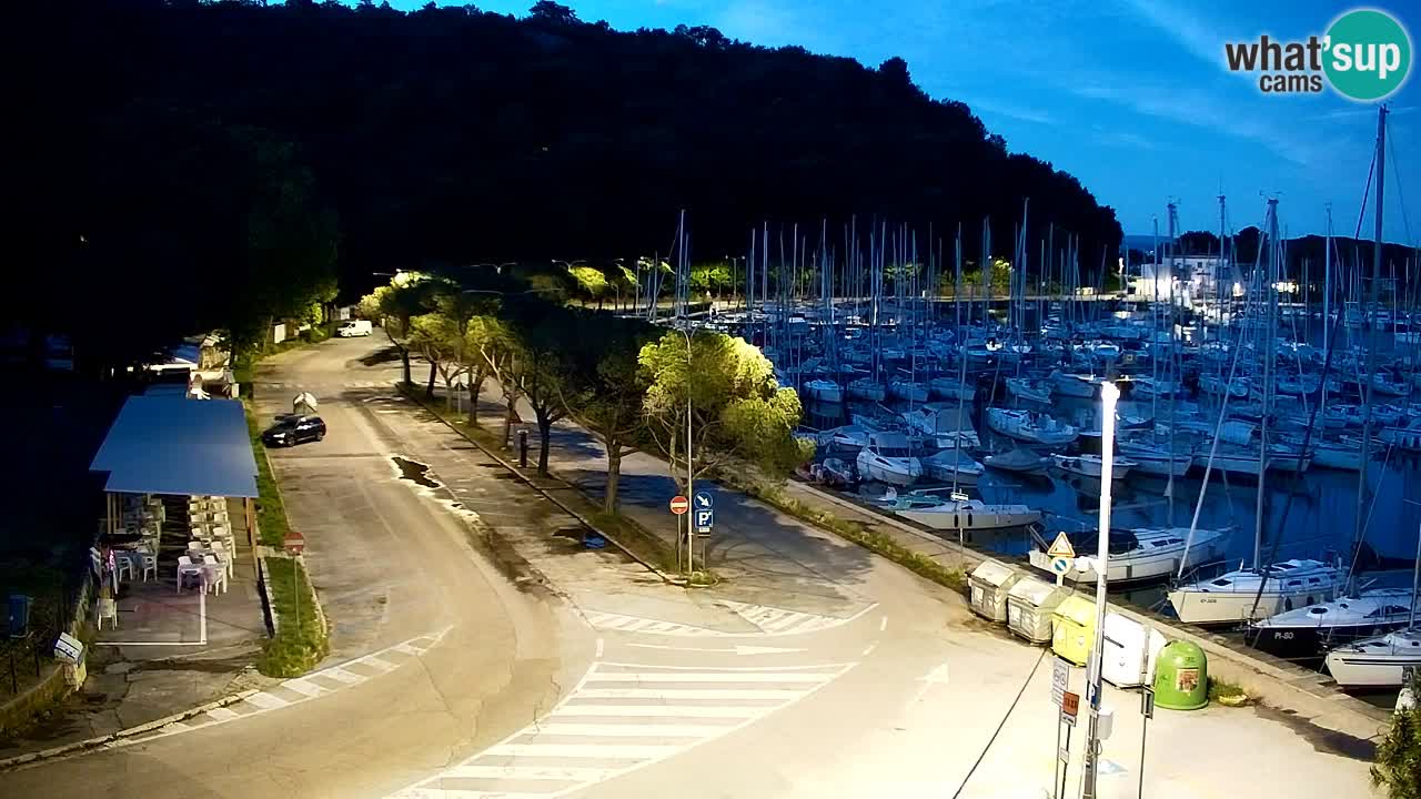 Webcam Bahía de Sistiana – Vista en directo del puerto deportivo y la costa
