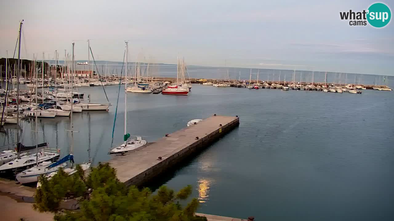 Web kamera Sistiana Uvala – Pogled uživo na marinu i zaljev
