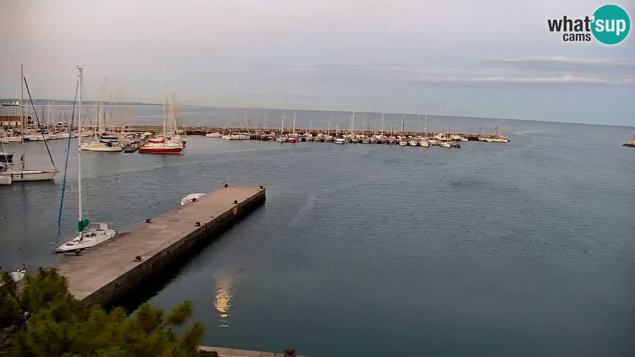 Webcam Sistiana Baia – Live View of the Marina and Gulf