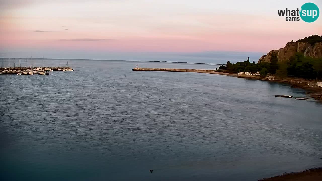Webcam Sistiana Baia – Live View of the Marina and Gulf