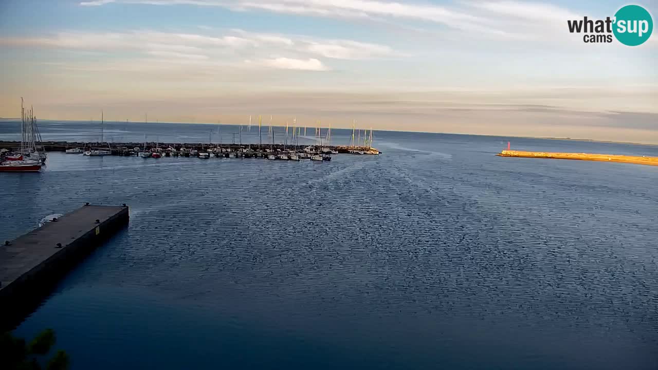 Webcam Sistiana Baia – Live View of the Marina and Gulf