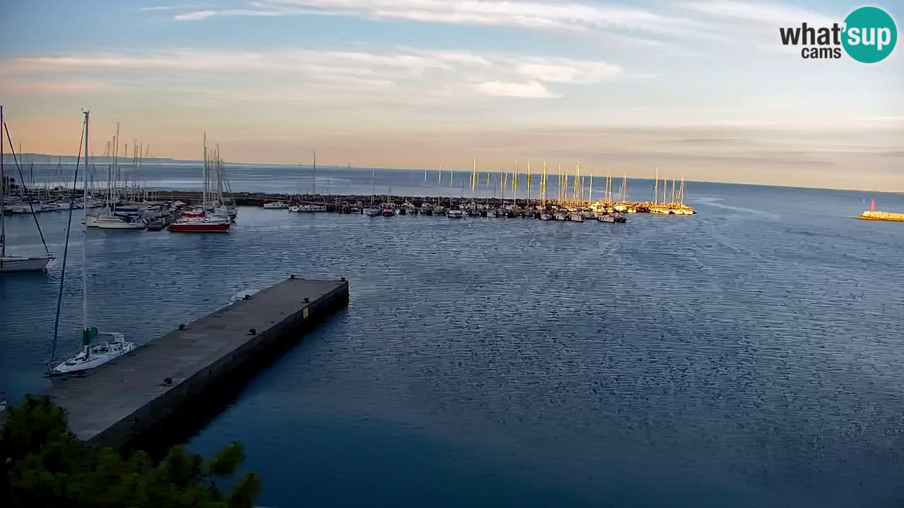 Webcam Sistiana Baia – Live View of the Marina and Gulf