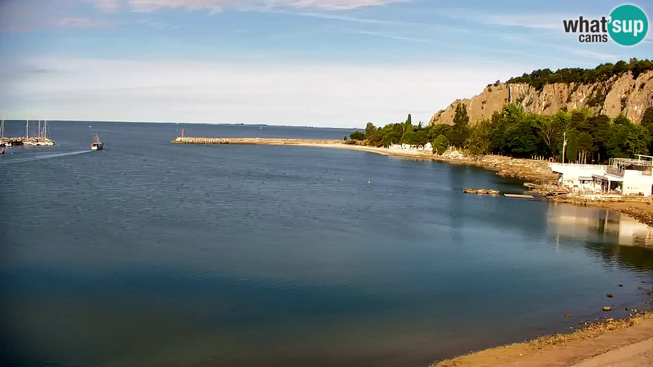 Webcam Bahía de Sistiana – Vista en directo del puerto deportivo y la costa