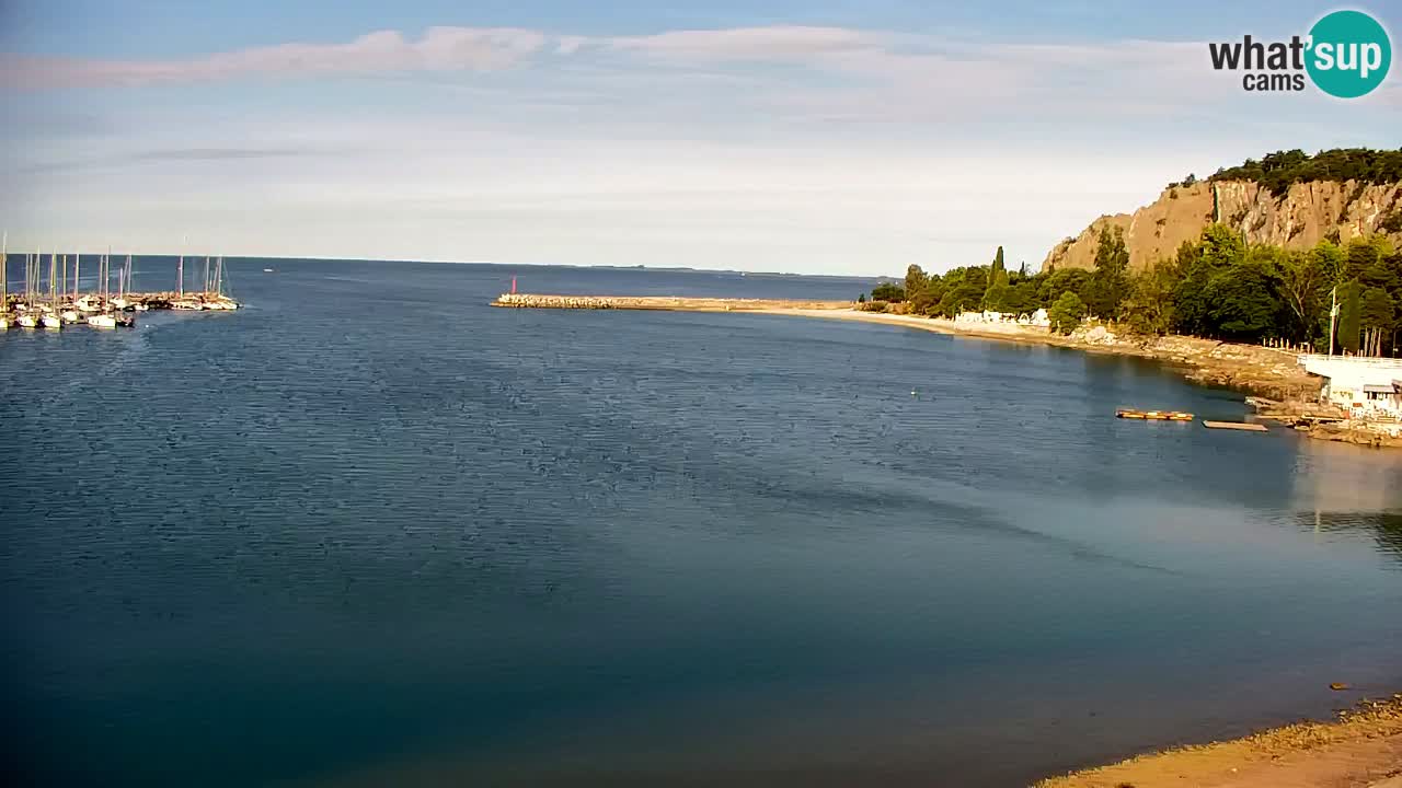 Web kamera Sistiana Uvala – Pogled uživo na marinu i zaljev