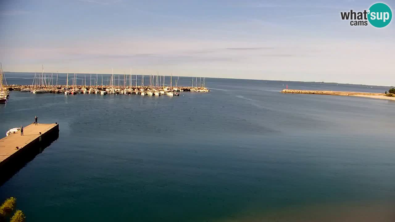 Webcam Sistiana Baia – Live View of the Marina and Gulf