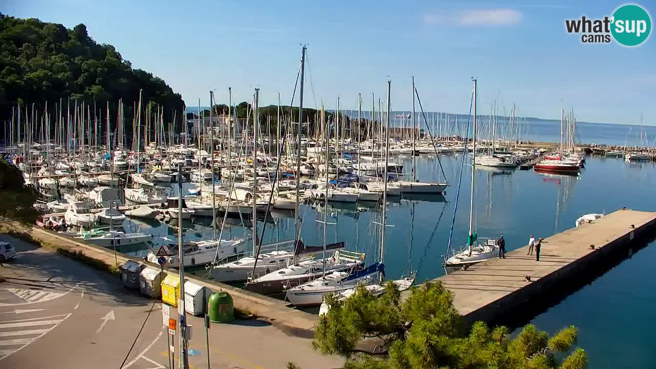 Webcam Sistiana Baia – Live View of the Marina and Gulf