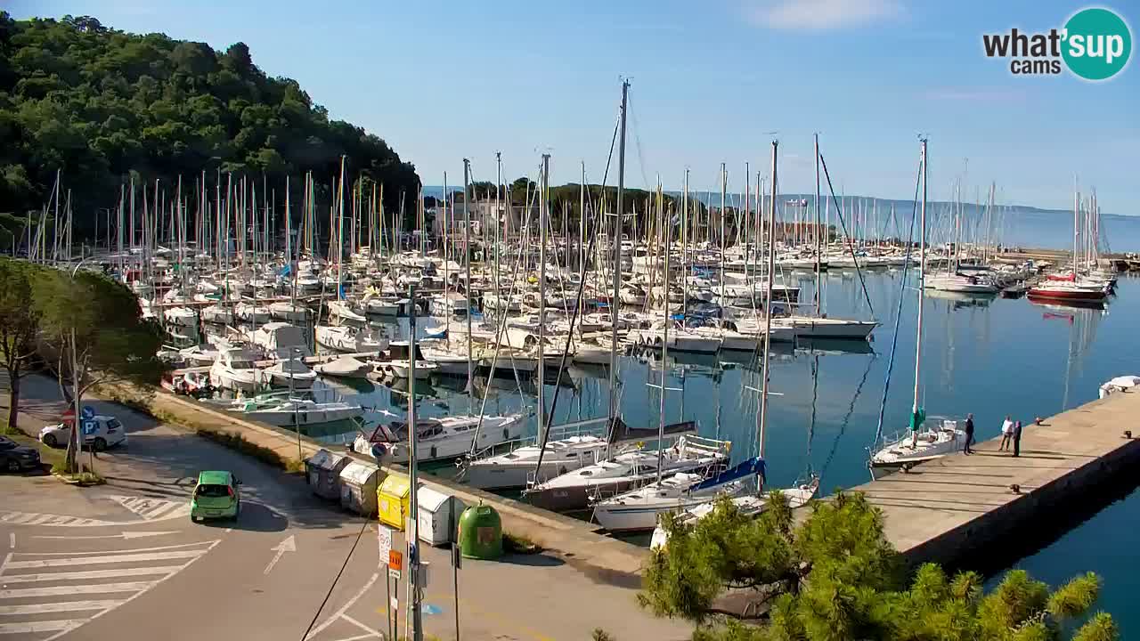 Spletna kamera Sesljanski zaliv – Pogled v živo na marino in zaliv