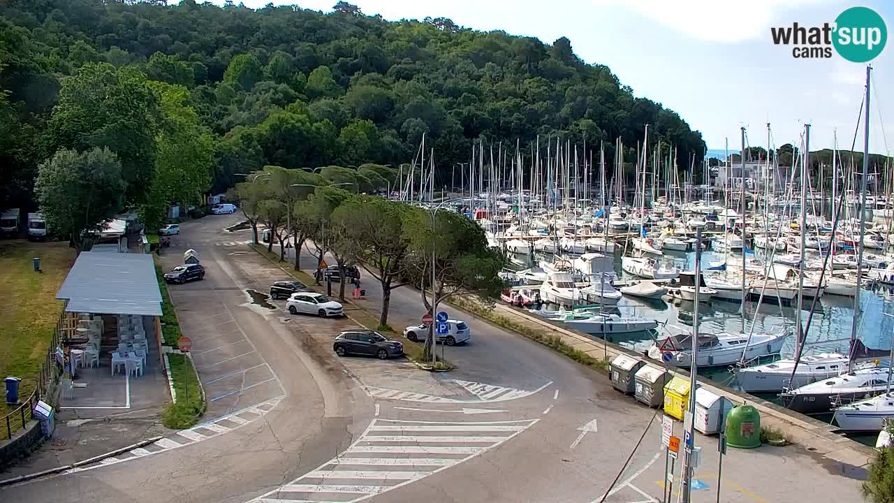 Webcam Bahía de Sistiana – Vista en directo del puerto deportivo y la costa