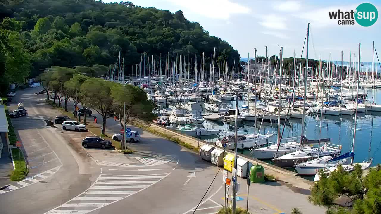 Webcam Bahía de Sistiana – Vista en directo del puerto deportivo y la costa