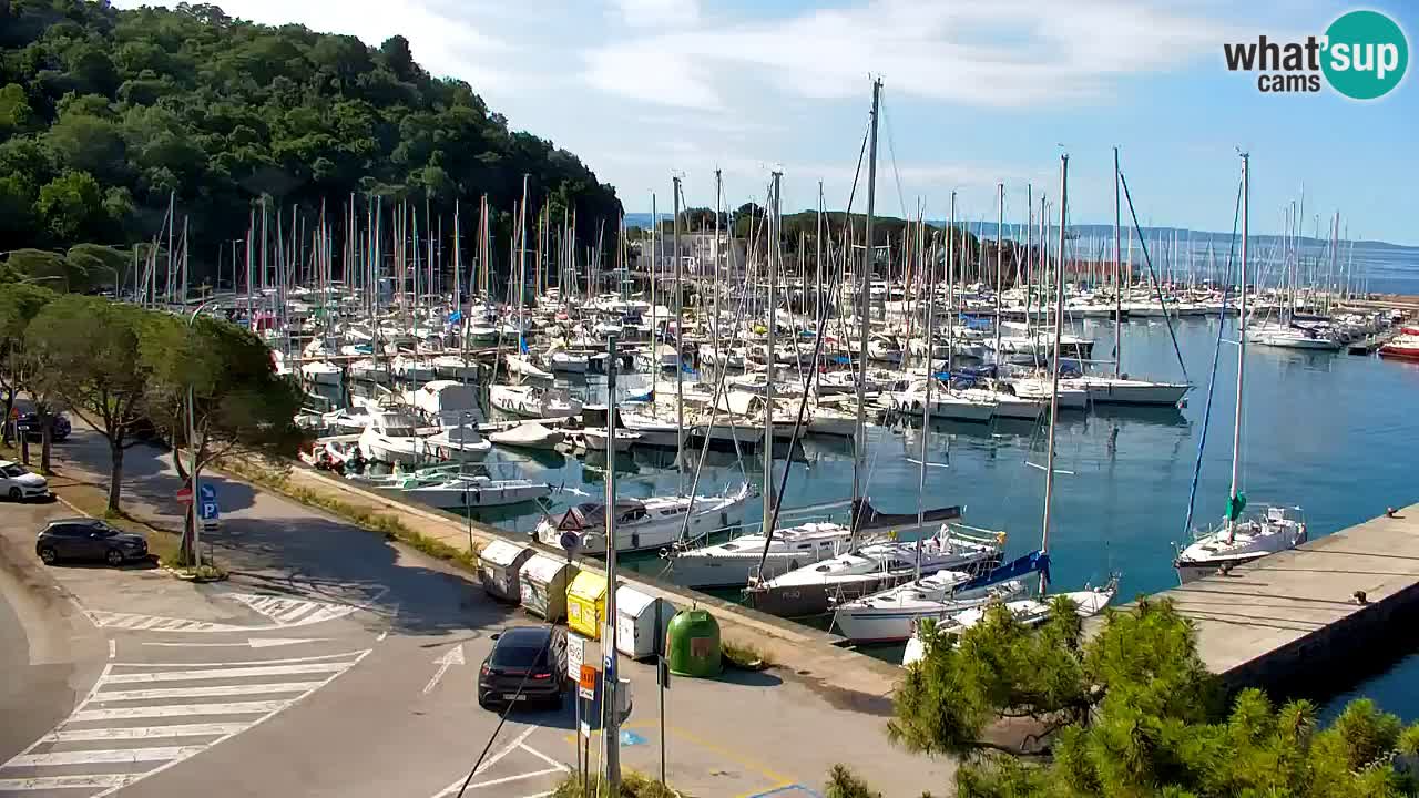 Spletna kamera Sesljanski zaliv – Pogled v živo na marino in zaliv