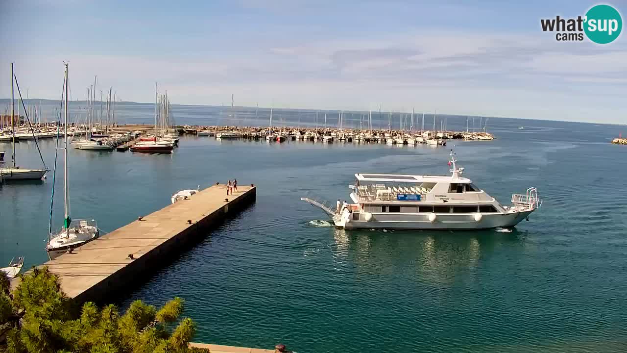 Webcam Baie de Sistiana – Vue en direct de la marina et de la baie