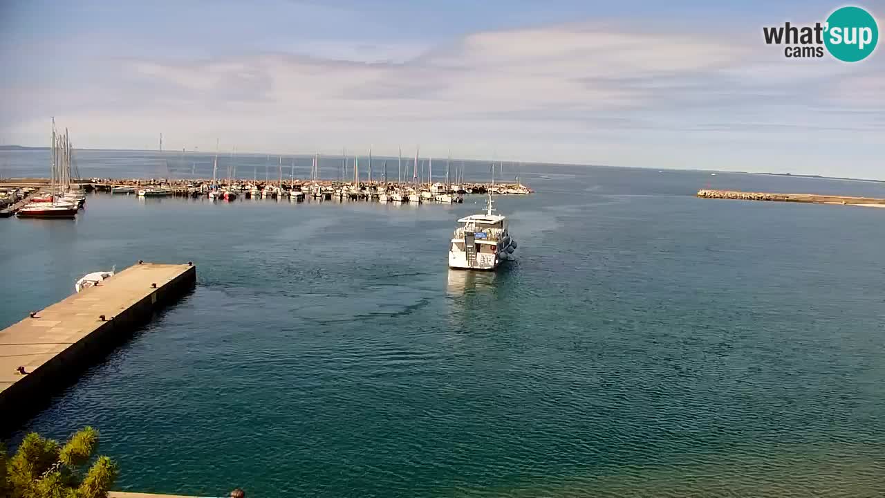 Webcam Bahía de Sistiana – Vista en directo del puerto deportivo y la costa