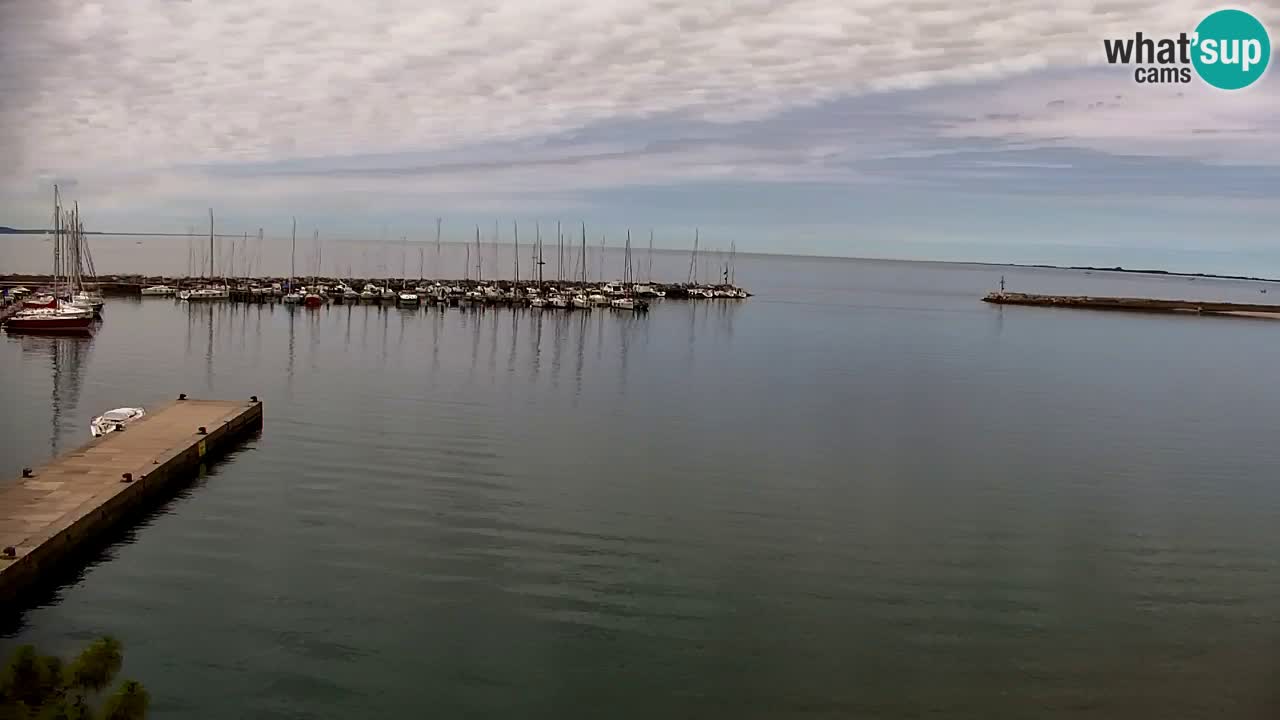 Webcam Baie de Sistiana – Vue en direct de la marina et de la baie
