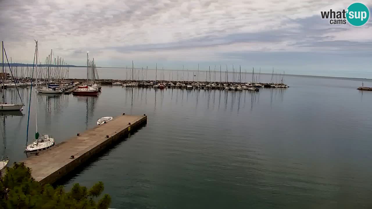 Webcam Baia di Sistiana – Marina e Golfo in diretta