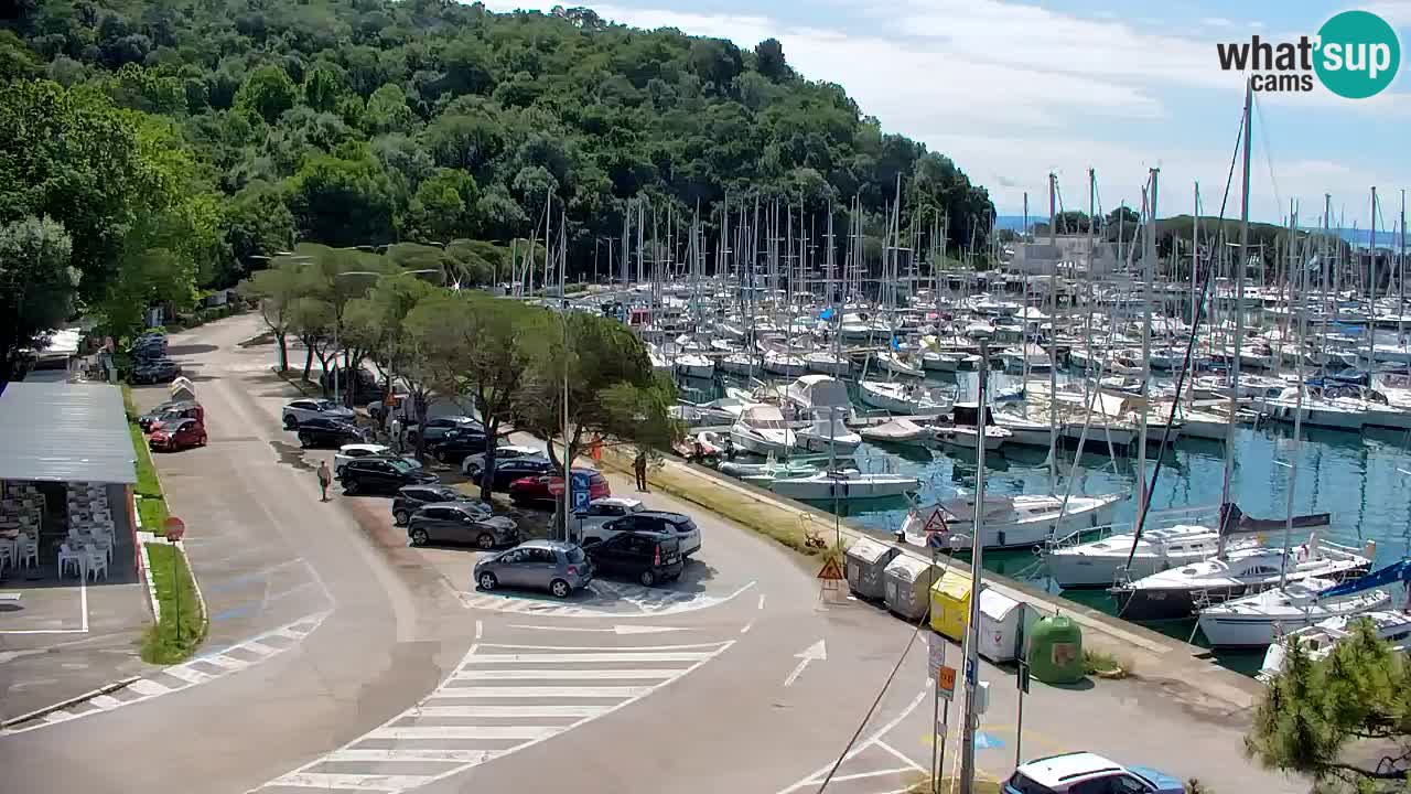Web kamera Sistiana Uvala – Pogled uživo na marinu i zaljev