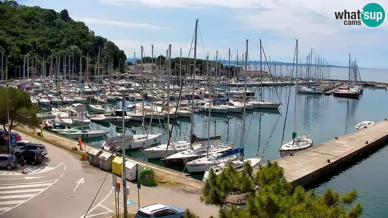 Webcam Sistiana Bucht – Liveblick auf Marina und Bucht