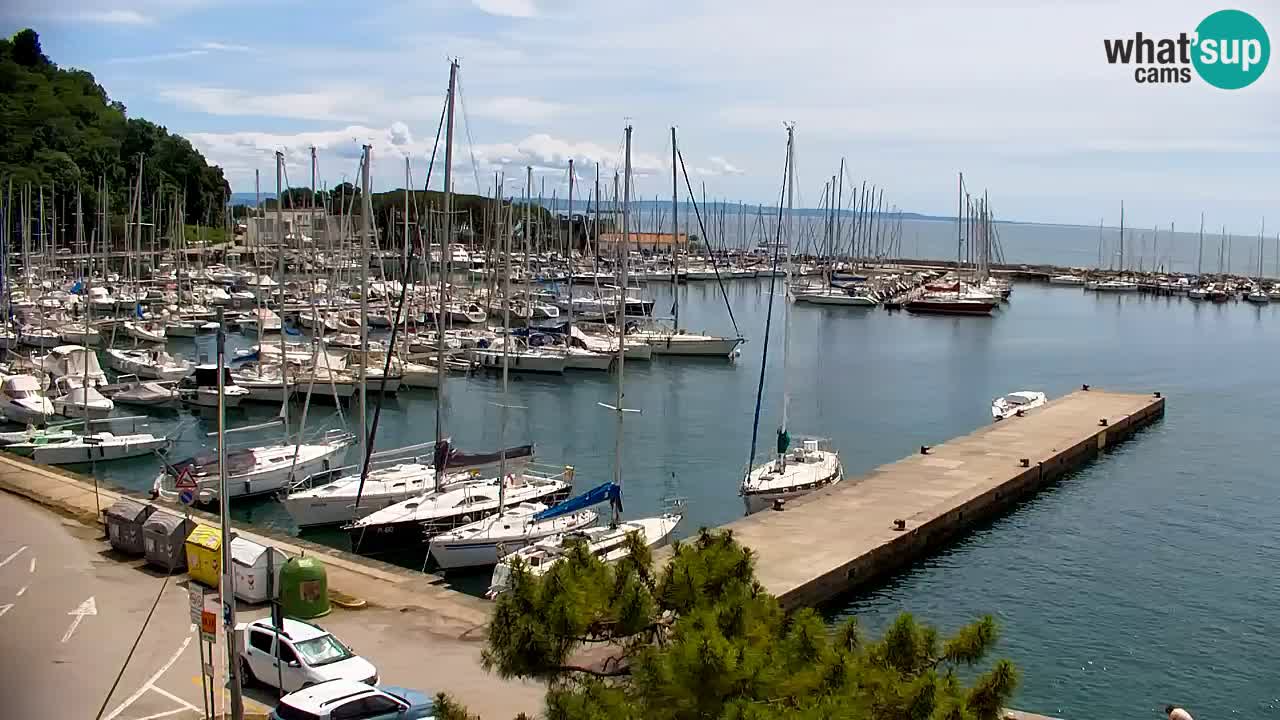 Web kamera Sistiana Uvala – Pogled uživo na marinu i zaljev