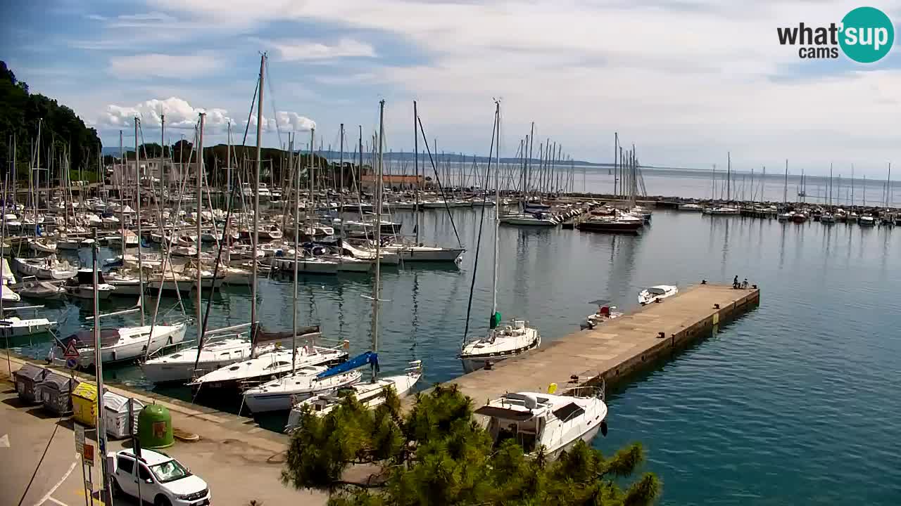 Webcam Sistiana Baia – Live View of the Marina and Gulf