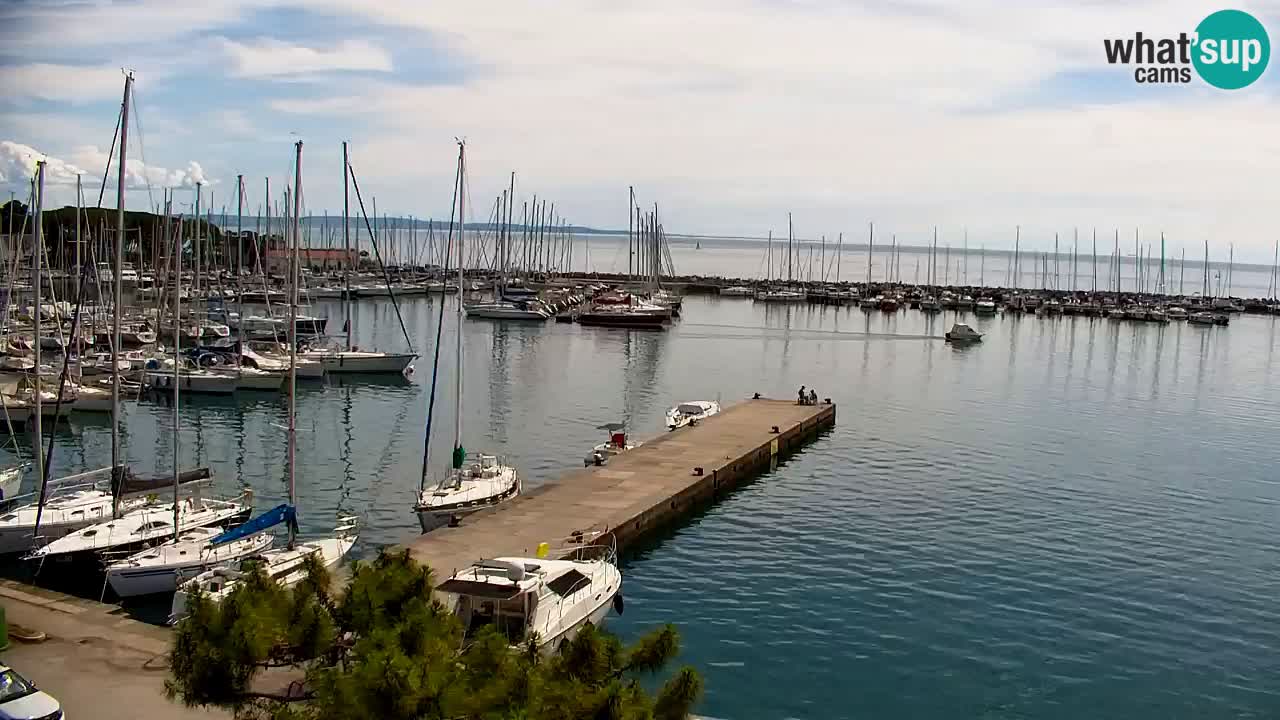 Web kamera Sistiana Uvala – Pogled uživo na marinu i zaljev