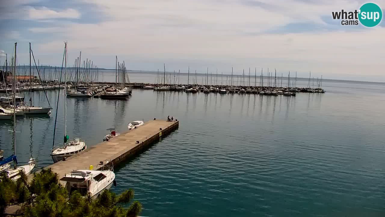 Webcam Baie de Sistiana – Vue en direct de la marina et de la baie
