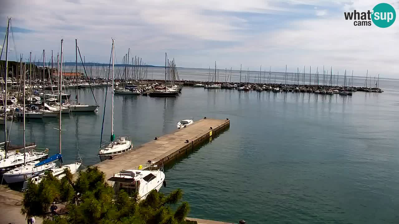 Spletna kamera Sesljanski zaliv – Pogled v živo na marino in zaliv