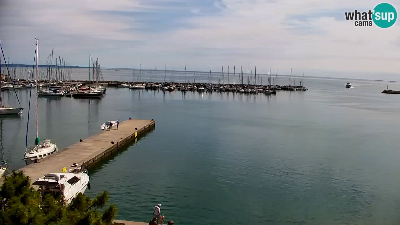 Webcam Bahía de Sistiana – Vista en directo del puerto deportivo y la costa