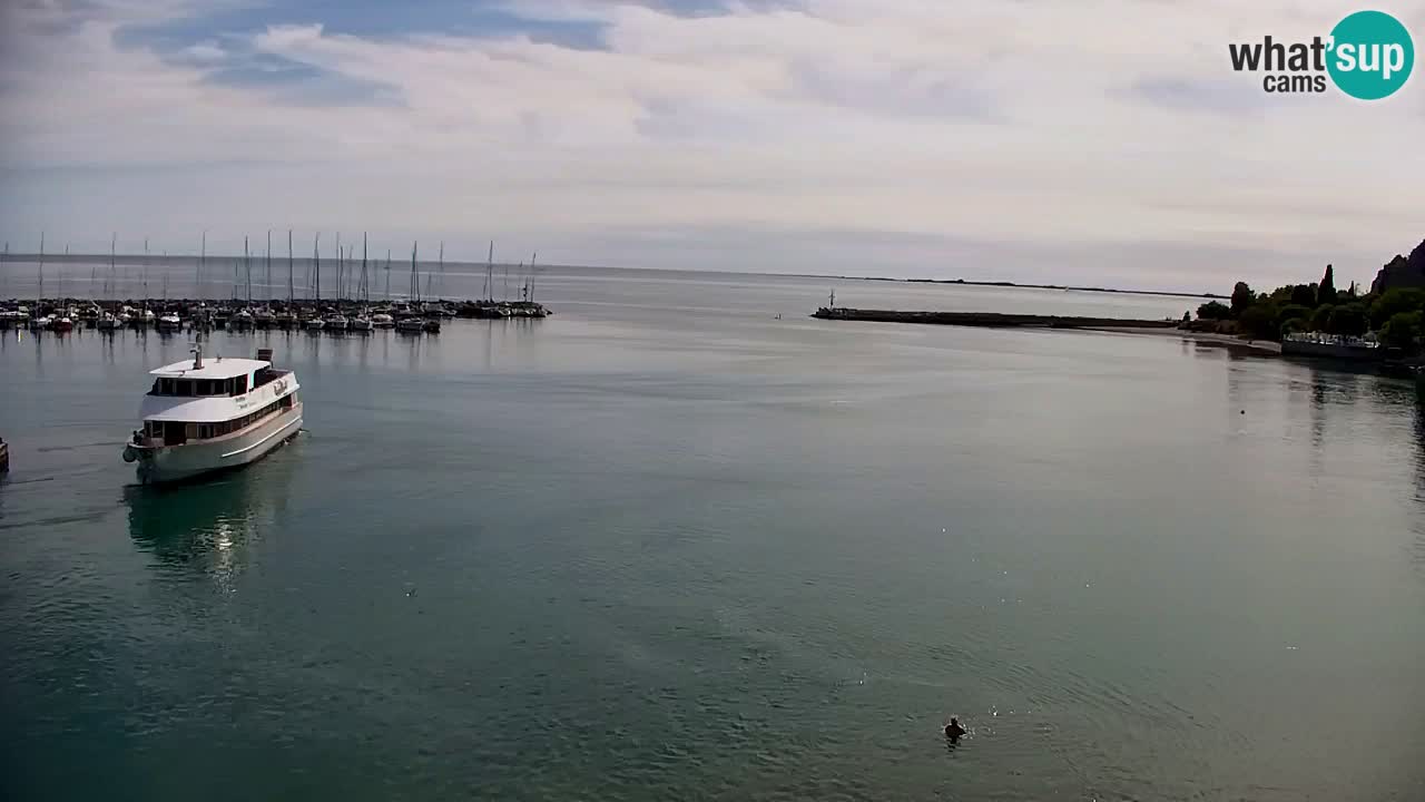 Webcam Bahía de Sistiana – Vista en directo del puerto deportivo y la costa
