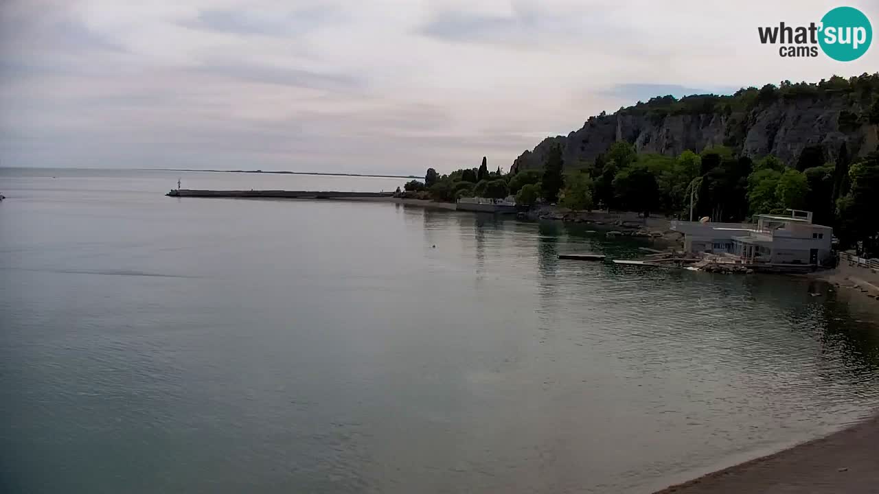 Webcam Bahía de Sistiana – Vista en directo del puerto deportivo y la costa