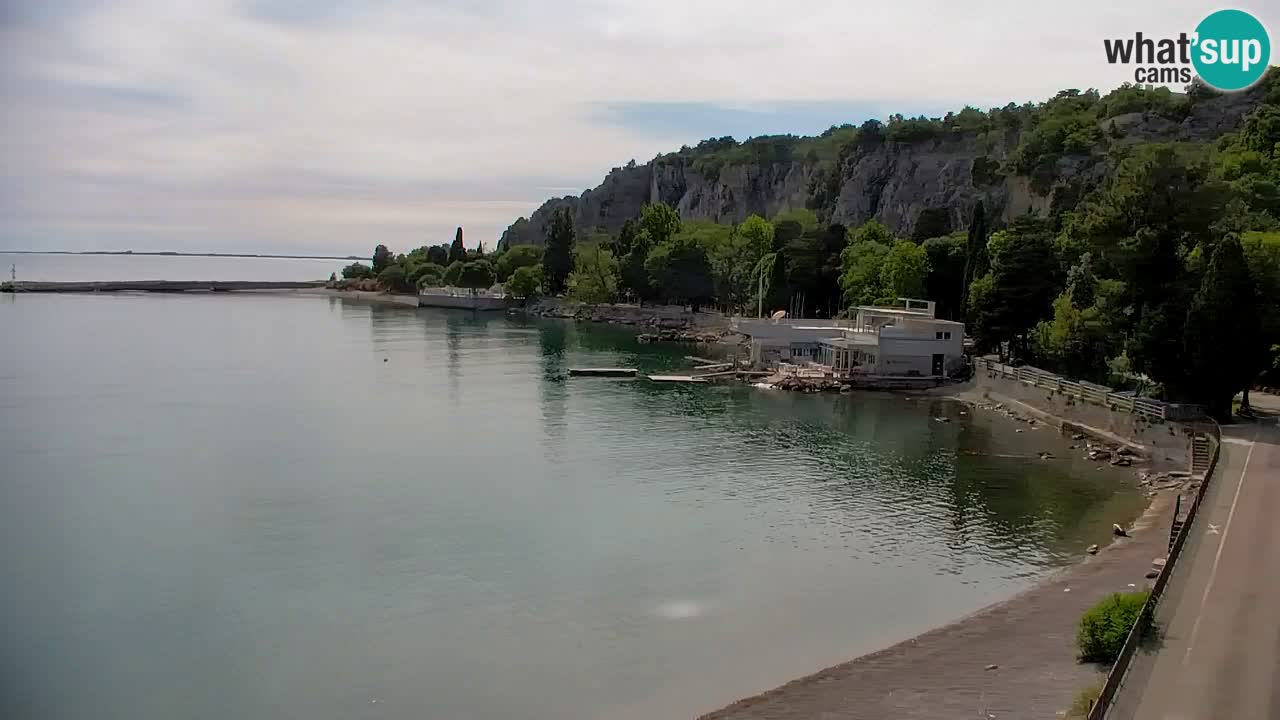 Web kamera Sistiana Uvala – Pogled uživo na marinu i zaljev