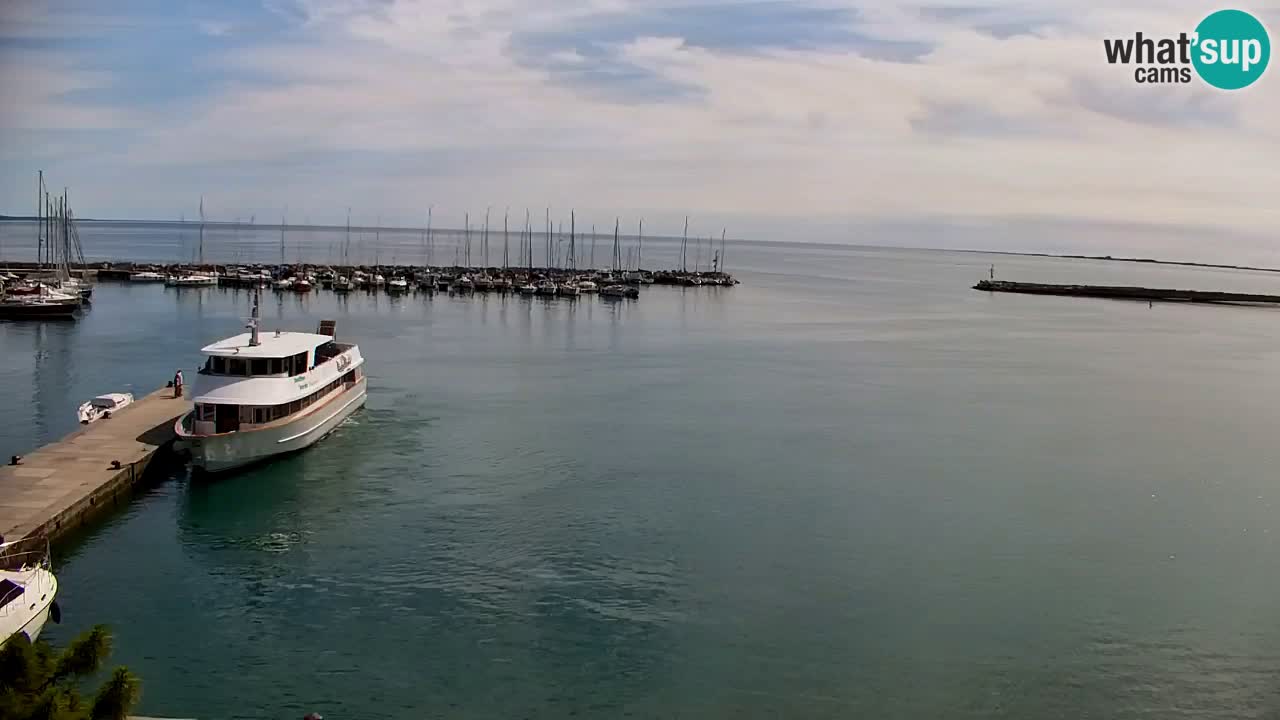 Spletna kamera Sesljanski zaliv – Pogled v živo na marino in zaliv