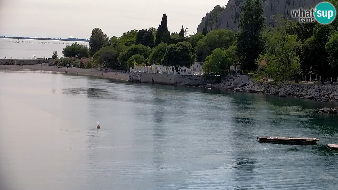 Web kamera Sistiana Uvala – Pogled uživo na marinu i zaljev