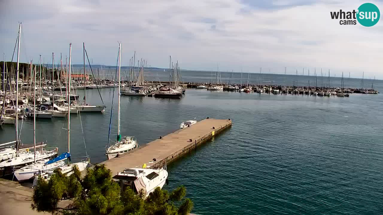 Spletna kamera Sesljanski zaliv – Pogled v živo na marino in zaliv