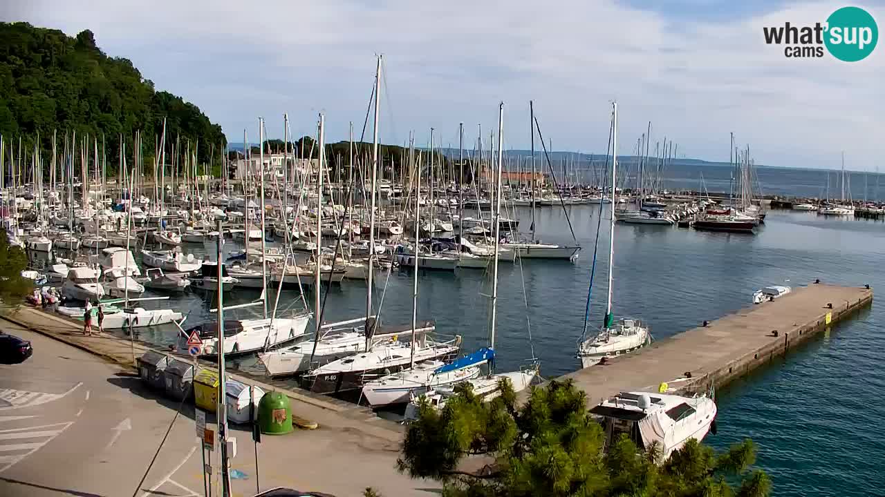 Webcam Bahía de Sistiana – Vista en directo del puerto deportivo y la costa