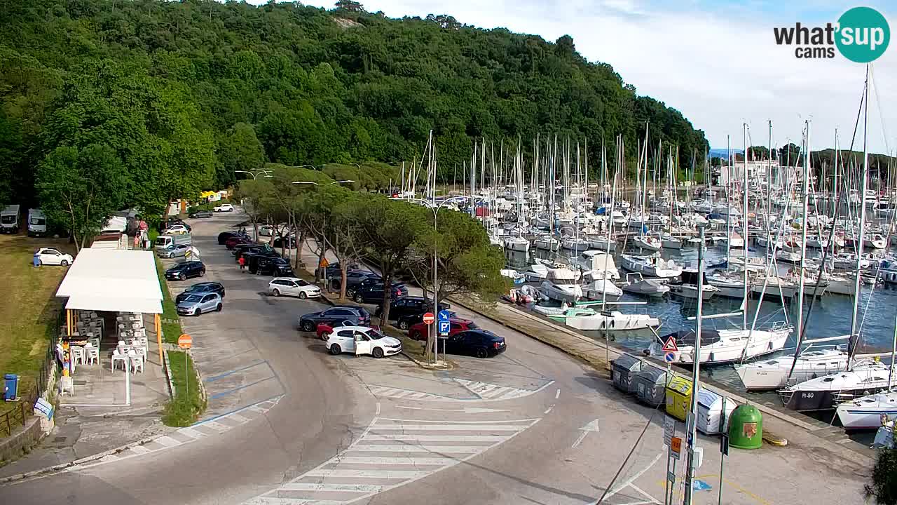 Webcam Bahía de Sistiana – Vista en directo del puerto deportivo y la costa