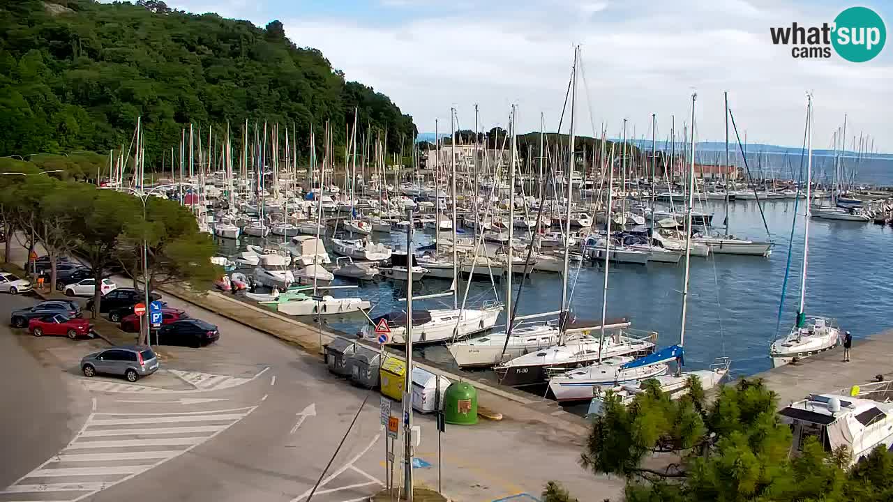 Web kamera Sistiana Uvala – Pogled uživo na marinu i zaljev