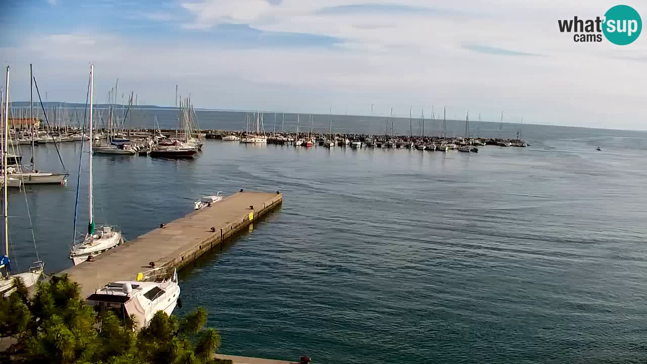 Webcam Sistiana Baia – Live View of the Marina and Gulf